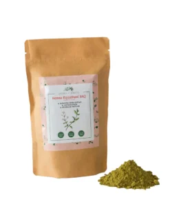 ZIÓŁKA Z SOJATU HENNA RAJASTHANI BAQ – naturalna henna barwiąca na rudo